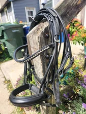 Kieffer Sylvie Double Bridle 