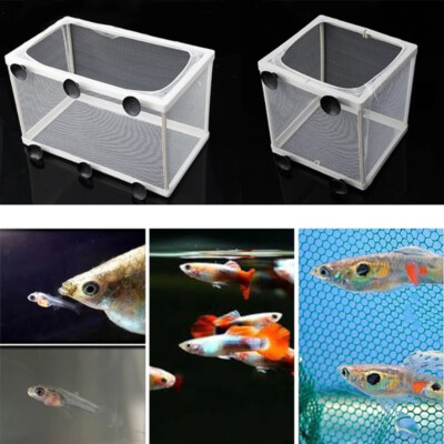 baby fish breeding net Aquarium Fish Trap Box Hatchery Net Tank Guppy Breeding Breeder Newborn S/L