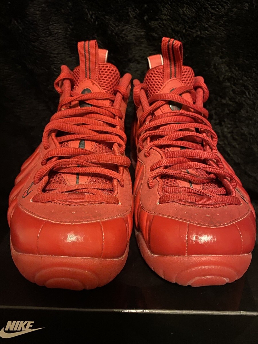 【極美品】NIKE AIR FOAMPOSITE PRO Red 【27.5㎝】 Nike Air Foamposite Pro Red October - Size 11 - 624041-603