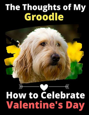 The Thoughts of My Groodle: How to Celebrate Valentine' -  NEW Brightview Acti 2
