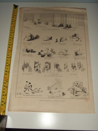LOUIS WAIN. Dogs. 4 vintage prints. Good Condition. Illustrated London News - Picture 3 of 5