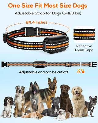 Off Leash Leash Training With Shock Collar Dog Training Collar - Main Image