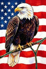 5D Diamond Art Kits for Adults, Bald Eagle Diamond Painting Kits for Adults
