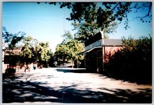 Vtg Color Snapshot Rustic Street Trees Building 1990s
