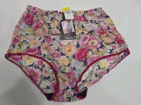 Vanity Fair Vintage Roses Flower Multicolor Nylon Cotton Panties Size 6 NWT