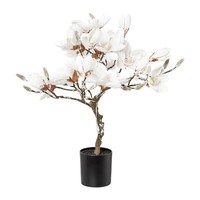 Gasper Kunstblume Magnolienbaum H 58 Cm Weiß Pflanze Kunstpflanze