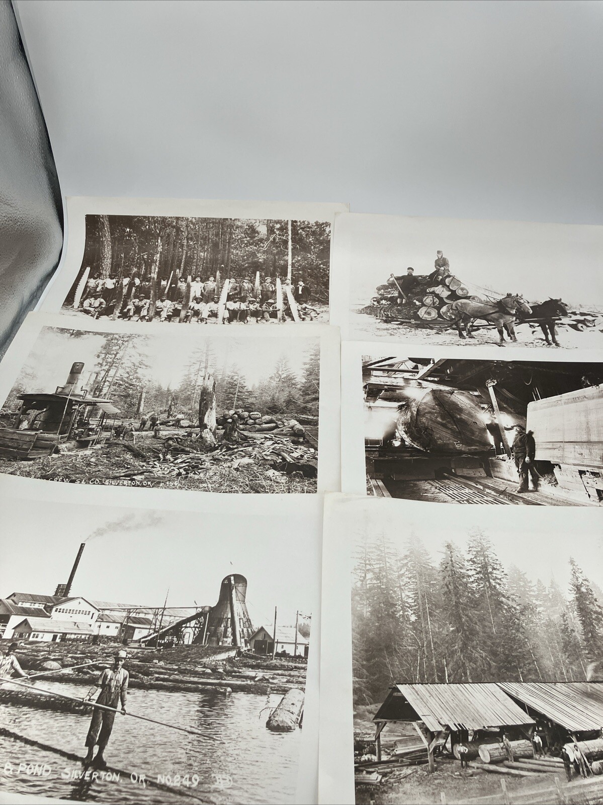 Lot Georgia Pacific Historical Museum 1880-1920 Glory Days Logging Photographs