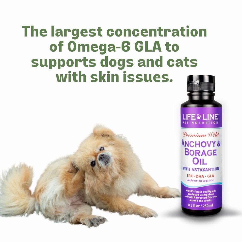 Wild Anchovy & Borage Oil Premium Fish Oil Supplement for Dogs and Cats wit... eBay