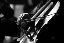 Musicians Hand Playing The Cello Black And White Photo Art Poster 18x12
