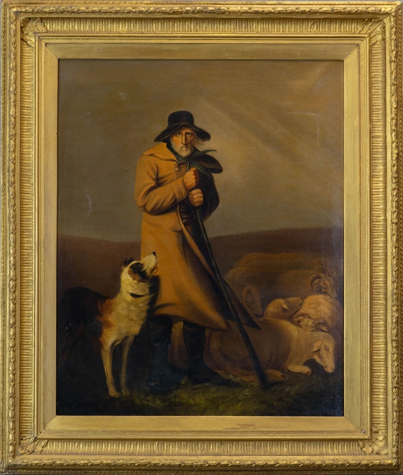 Viejo, perro Foto 2 de 4