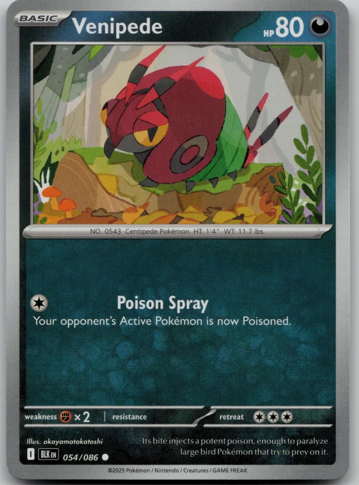 Venipede 054/086 Common Black Bolt Pokemon Near Mint