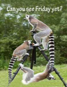 Office Humor