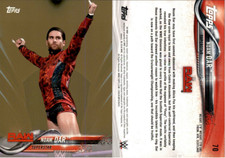 2018 Topps WWE Bronze #70 Noam Dar