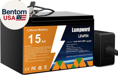Lithium 12V 15Ah Lifepo4 Battery 4000+ Deep Cycle Rechargeable Batteries with Ch