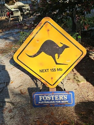 Vintage Foster's Australian for Beer Kangaroo Next 155 MB Metal Advertising 35''