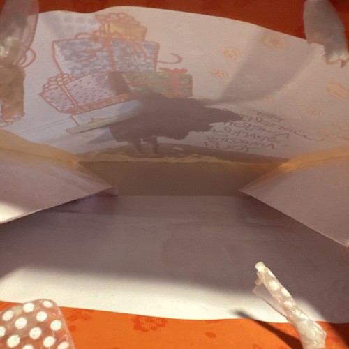 Taylor Swift American Greetings Gift Bag With Tag For Wonderful Amazing You New - Picture 7 of 7