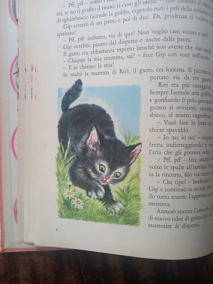 MARIAPIA GINEVRA PELIZZARI - STORIA DI UN CANE E DI UN GATTINO ED. PICCOLI - Immagine 4 di 4