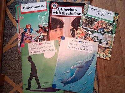 Extra großes Bücherpaket Lehrmittel Lehrbücher Klassenzimmer Lesen Konvolut