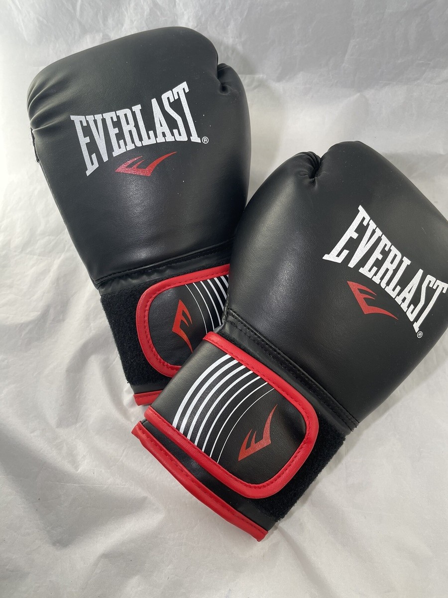 Everlast Boxing Training Gloves Red 12 Oz | eBay
