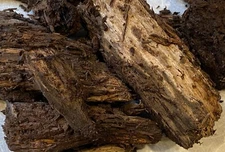 Decayed Hardwood for Beetles, Isopods, Millipedes, Vivariums (Large Pieces)