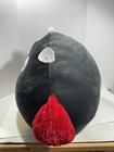 Picture 6 of 10