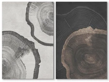 SIGNWIN Canvas Print Wall Art Wood Tree Rings Abstract Illustrations Minimalist