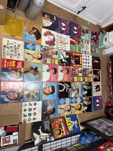 Huge LOT Of 40+ Elvis Presley Vinyl Record Albums 40+ Total Vintage Music