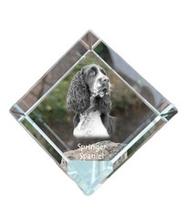 English Springer Spaniel - Cube With Picture, Horse Picture IN Crystal, Sech