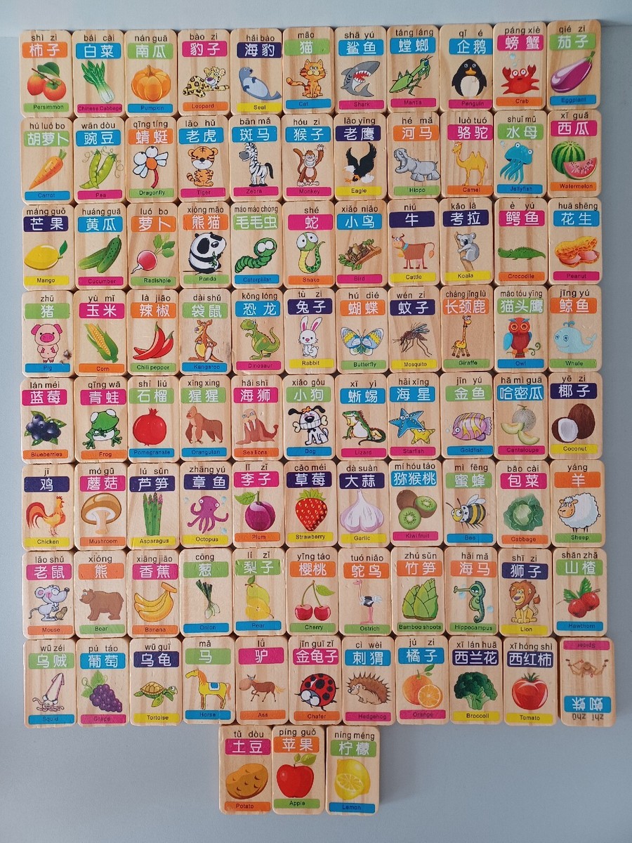 91 Chinese-English languages study wooden Pieces with words for children |  eBay UK