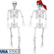 Lifelike Pirate Skeleton Props Halloween Party Decor Life Size Jointed Bones New