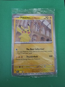 Pikachu at the Museum | eBay