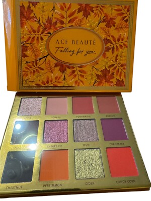 ACE BEAUTE Falling For You  12 Eye Shadow Palette - New In Box ٢
