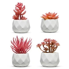 Nordik Miniature Artificial Succulent Set of Four Geometric Round White Pots ...
