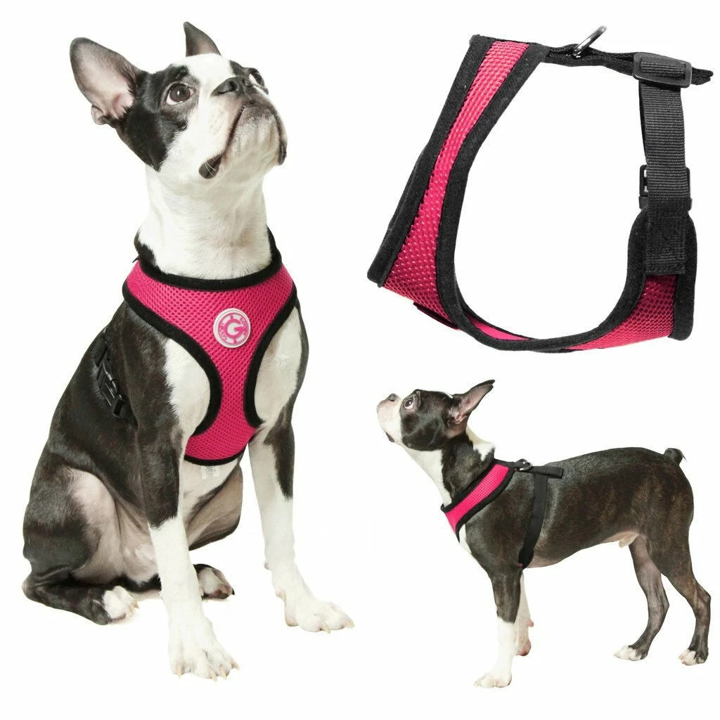 Gooby small cheap dog harness