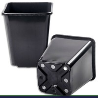 Pflanztopf 5,6 L Schwarz 19,5X19,5X23 Cm Blumentopf Pflanzgefäß BlumenküBel