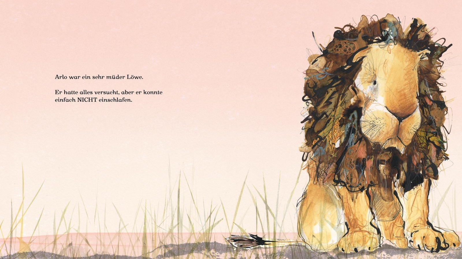 Thumbnail - Arlo Kann Nicht Schlafen | Catherine Rayner | Deutsch | Buch | 32 S. |