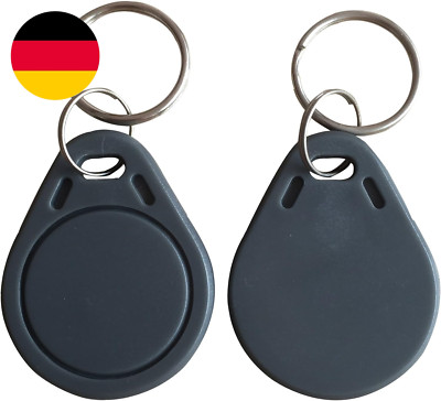MIFARE Classic  1K 13.56Mhz Rfid Tag Schluesselanhaenger Grau -100Pcs