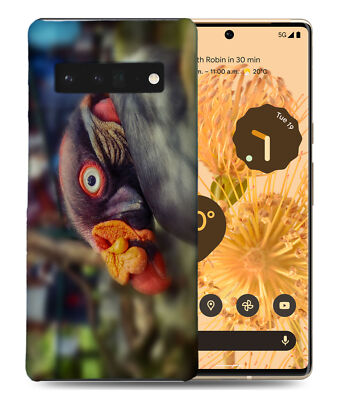 CASE COVER FOR GOOGLE PIXEL|WACKY STRANGE BIRD KING VULTURE