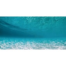 30x18 Inches Undersea Aquarium Background Pool Ocean Floor Underwater Tank