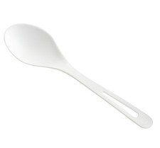 Watson Distributing Heavy Weight Plastic Spoon Pla Ivory 500/Case