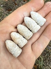 Lot Of 5 FINE Dug CS Confederate Gardner Civil War Bullets SIEGE OF VICKSBURG MS