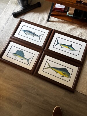 fish art prints wahoo, blue marlin, sailfish, bull mahi. Size 16x24