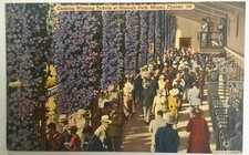 Miami Florida Postcard Vtg Early 1900s Hialeah Park Cashing Winning Tickets Race