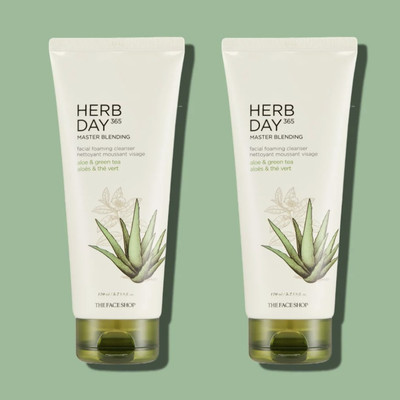 Lot 2pc Korean THE FACE SHOP Herb Day 365 Master Blending Cleanser Aloe Vera Tea