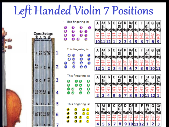 Violin Chart