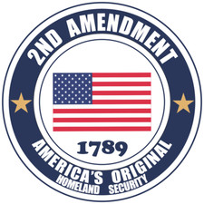 2nd Amendment Gun Rights Usa Car Truck Window Bumper Vinyl Sticker Decal 01