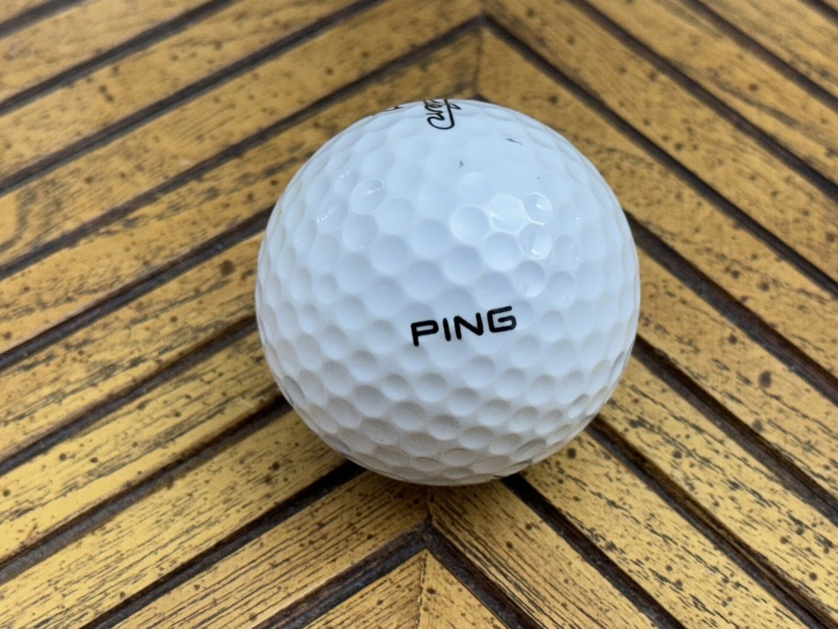 え*ク様 Balsa-50 original 012 2025 Tour Series Buzzz SS | Ezra Robinson – Foundation Disc Golf