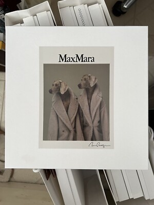 MAX MARA Rare William Bill Wegman Dog Portrait Teddy Box Collectors Gift Box NEW