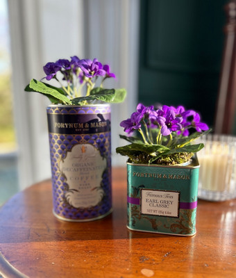 Paar 2 Fortnum & Mason künstliche lila Blumengestecke Kunstpflanze Dosen