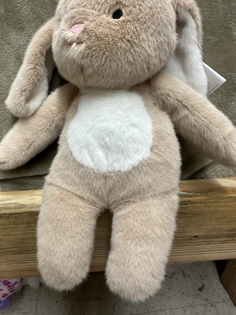 Minky By Fiesta Plush Beatrice Bunny Stuffed Rabbit Lovey Earth